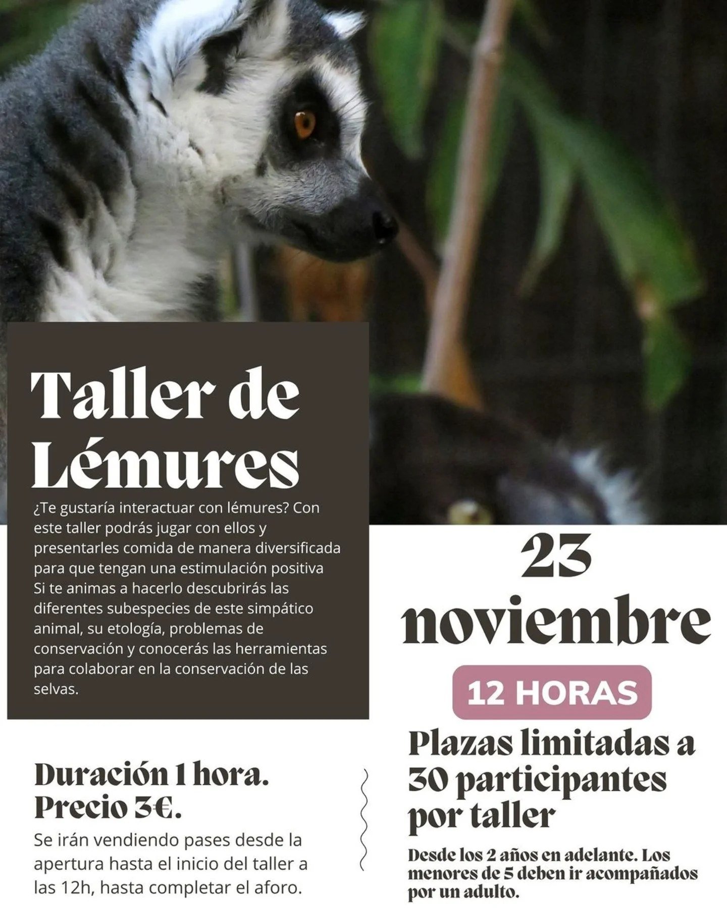 Talleres con lémures en el Centro de Conservación Animal #ZooCórdoba