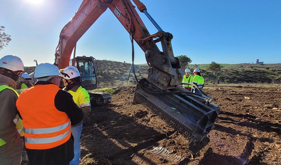 Trabajos de restauración forestal en el Monte Malagón, en el término municipal de Belalcázar (Córdoba)