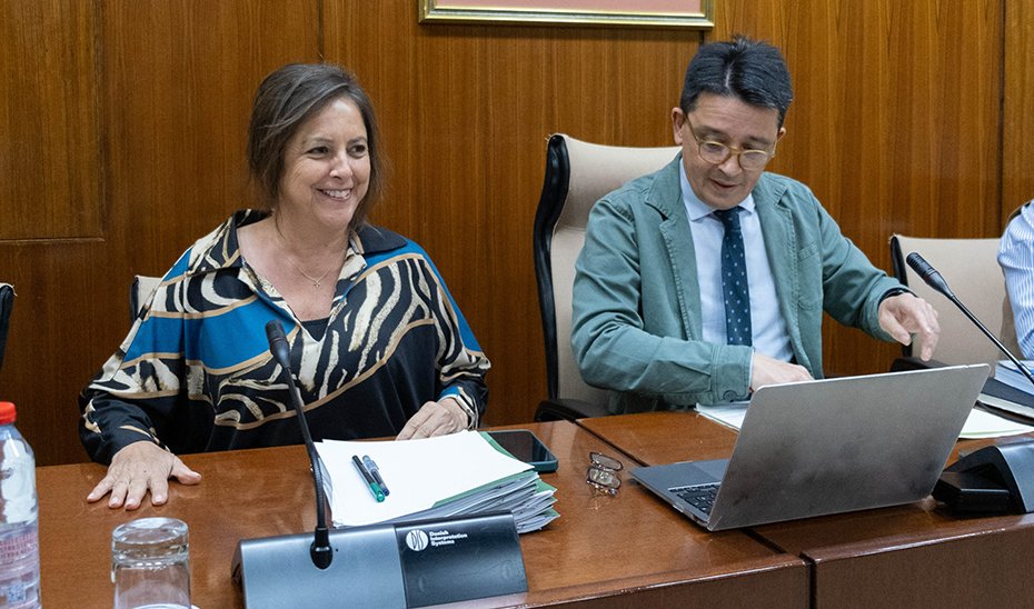 Catalina García interviene en comisión parlamentaria.