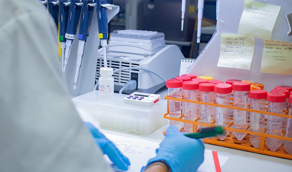 Labor de investigación en el laboratorio.