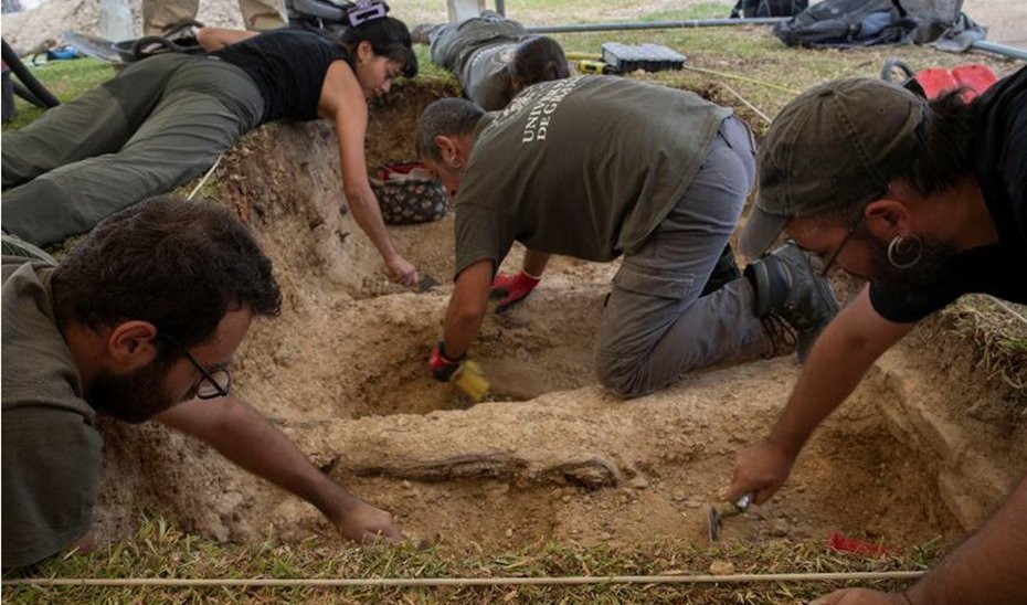 Trabajos de excavación en el cementerio de La Soledad de Huelva.