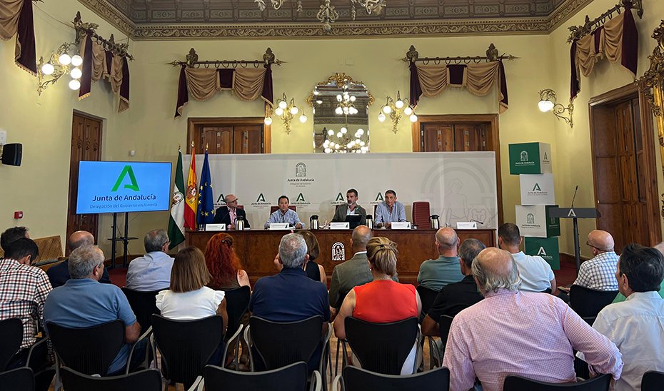 El consejero de Agricultura, Ramón Fernández-Pacheco, durante la reunión de la Mesa del Agua de Almería.