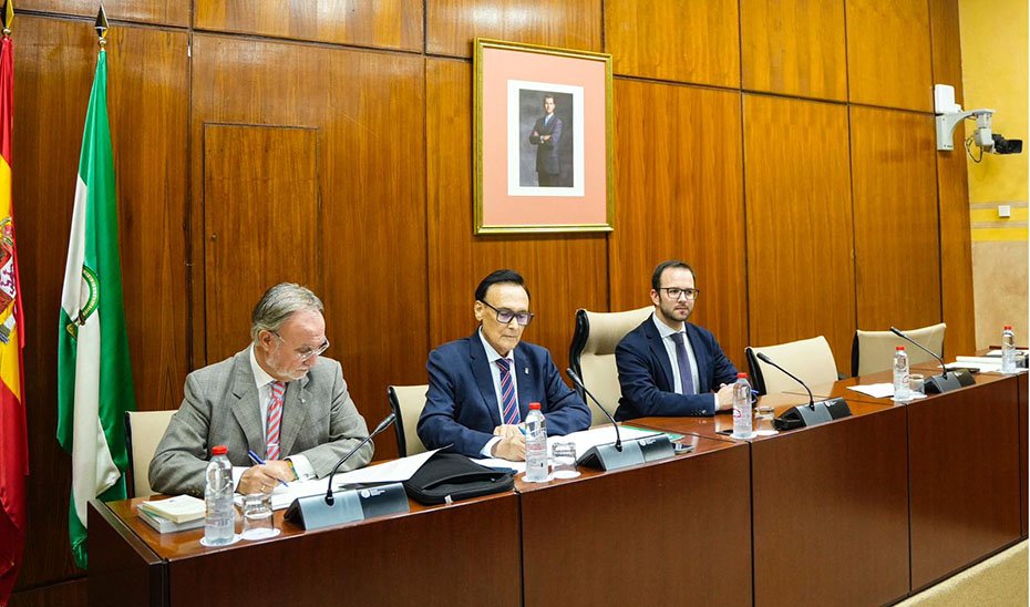 José Carlos Gómez Villamandos interviene en comisión parlamentaria.