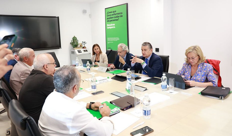 El consejero de Sanidad, Antonio Sanz, durante la reunión con el Satse.