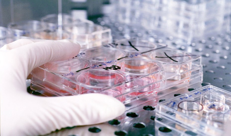 Investigación en laboratorio.